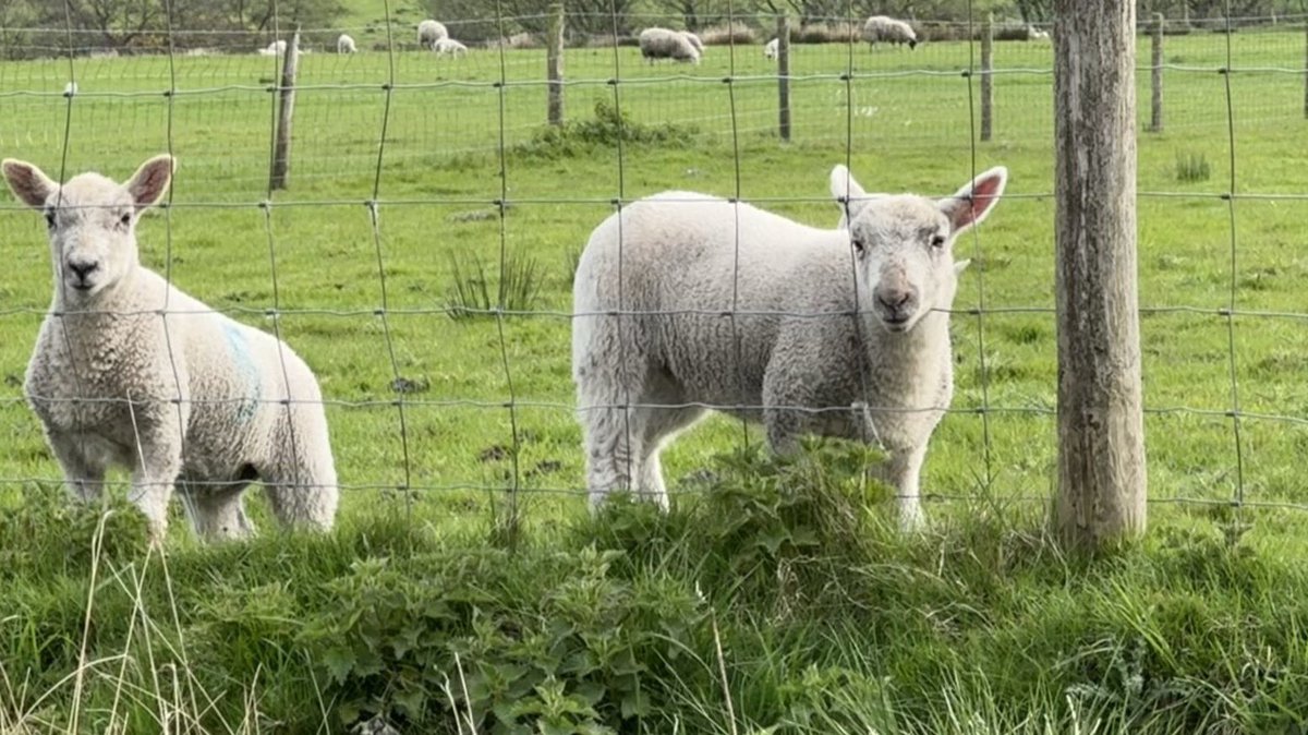 JeremySpake's tweet image. Day 3 of filming in #NorthYorkshire has been a game of two halves… from Bowls to All Creatures Great and Small! #JamesHerriotCountry #Moors #Dales #Hawnby #Staycation