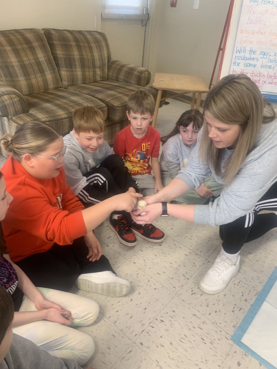 Cynthia Fillier tweet media