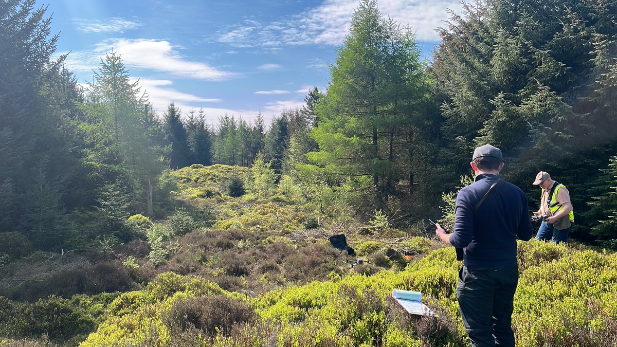 HE_Archaeology's tweet photo. What has the Archaeological Investigation Team @HistoricEngland been doing this week? Enjoying sunshine (and massive amounts of pollen) while charting barrows and cairns with drone lidar around Dalby Forest N Yorks, to help @ForestryEngland's management plans. https://t.co/wJ7PHCdyeK