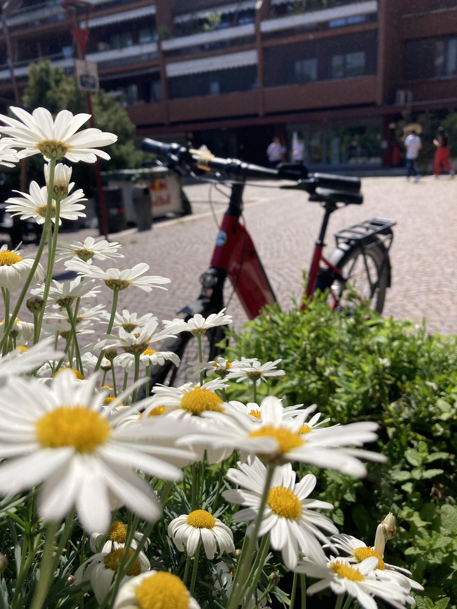 Baby è piena rasa tweet media