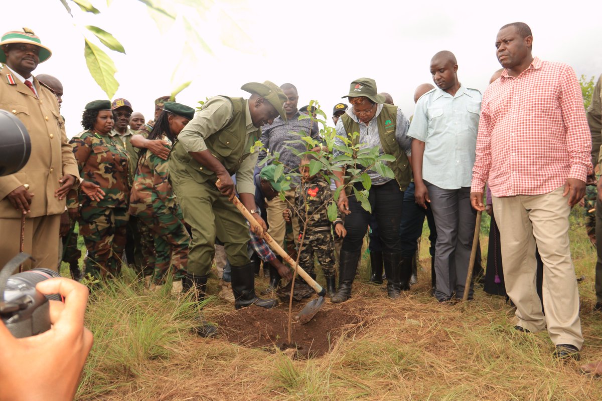 MaryWamaua's tweet photo. Glad for hosting H.E Dr. William Ruto for NATIONAL TREE PLANTING Day in Honor of FLOOD VICTIMS at Kiambicho Forest Station Karua Hills 

#MamaNaKazi https://t.co/PHYo6Ay5nD