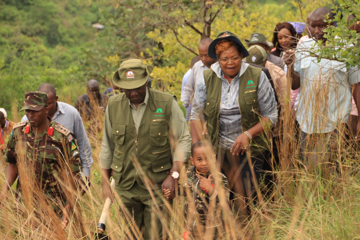 MaryWamaua's tweet photo. Glad for hosting H.E Dr. William Ruto for NATIONAL TREE PLANTING Day in Honor of FLOOD VICTIMS at Kiambicho Forest Station Karua Hills 

#MamaNaKazi https://t.co/PHYo6Ay5nD