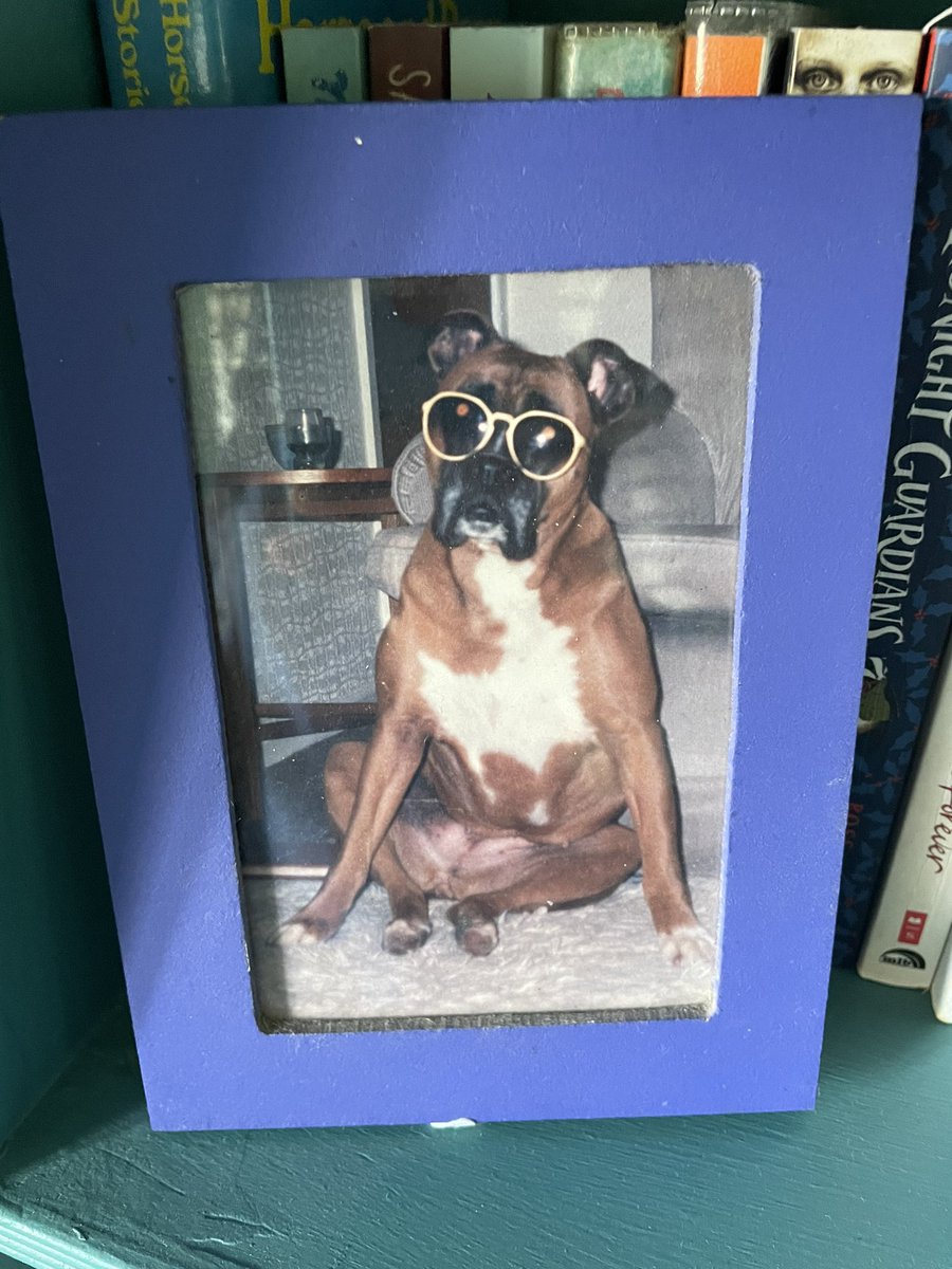 The childhood pet I never got over: this is Kizzy, our mad, kind, naughty, slobbery Boxer dog who would’ve been 45 today.