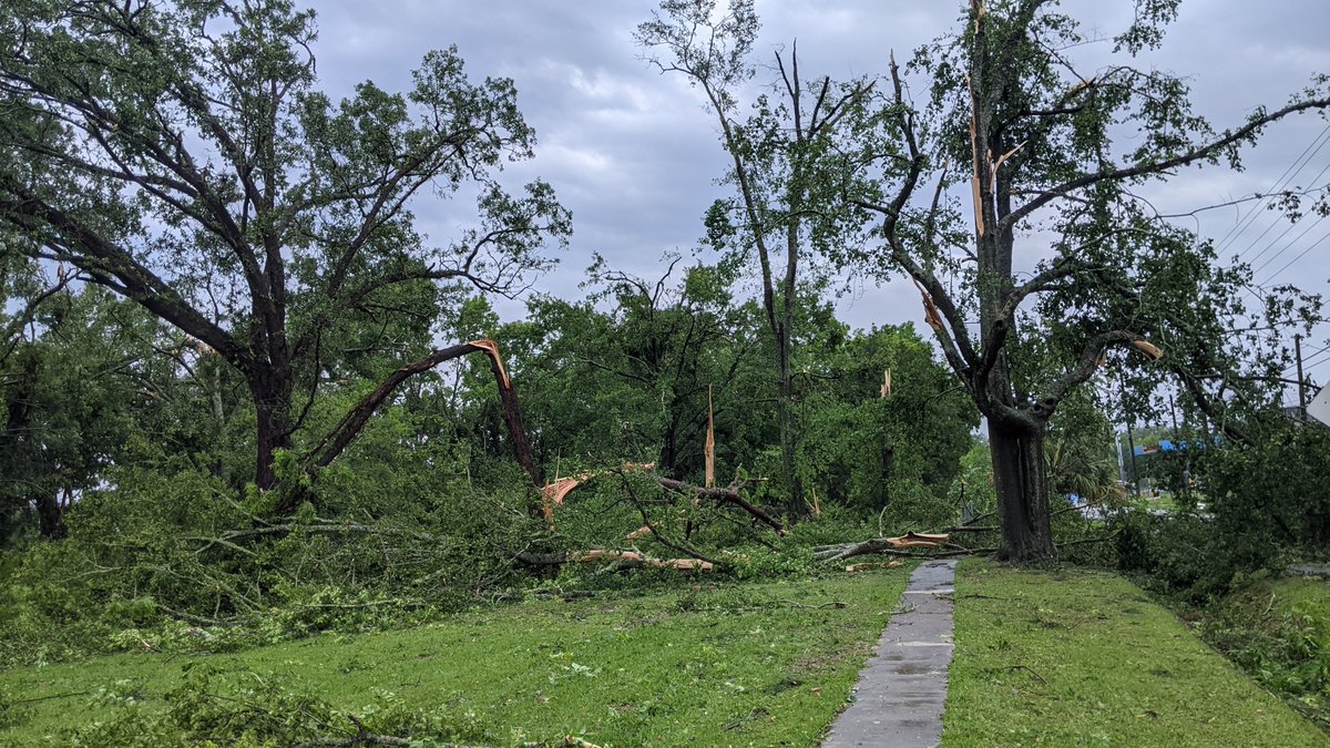 Chernobyldogg's tweet photo. @NWSTallahassee Pepper Dr. near Lake Bradford Rd. There were some decent grass signatures around for a storm report. Major tree damage looked like it cut across the railroad track near the end of Elberta Dr going E NE across Pepper https://t.co/Oj8514sWbG