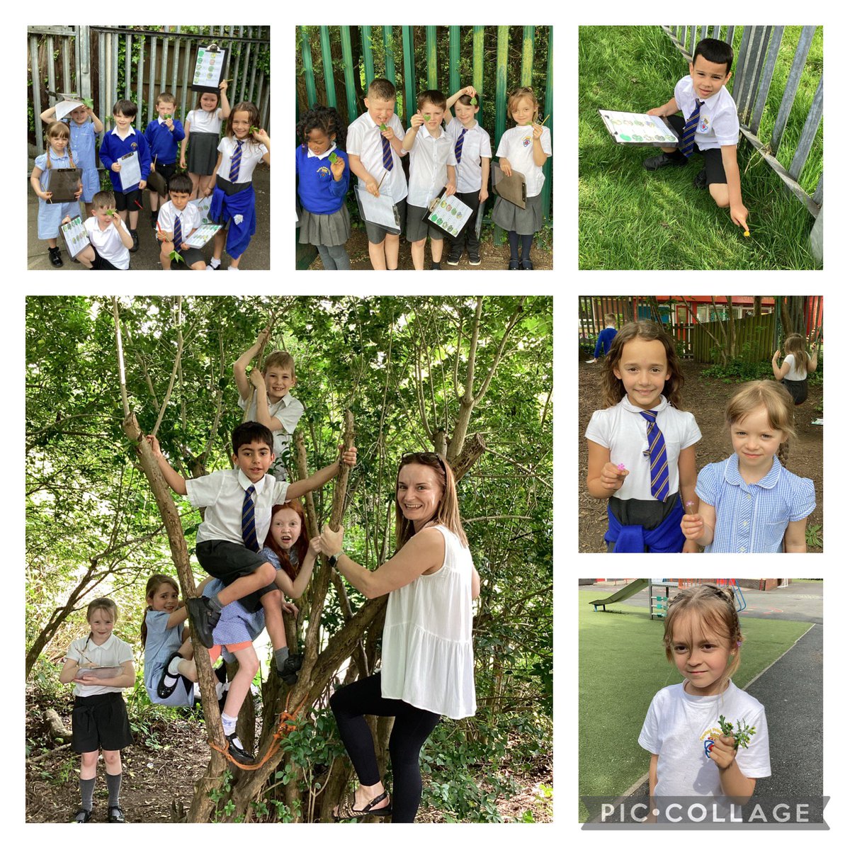 #Year2 We have been busy #outdoorlearning looking at different flowers. #science