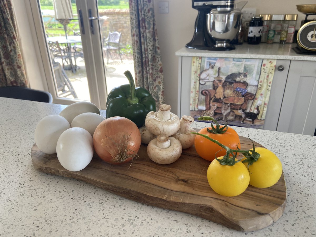 Sampadoodle's tweet photo. Goose egg frittata, on the patio. It’s a hard life #gooseeggs #frittata #eatrealfood #homecooking https://t.co/fA4o3C91dr