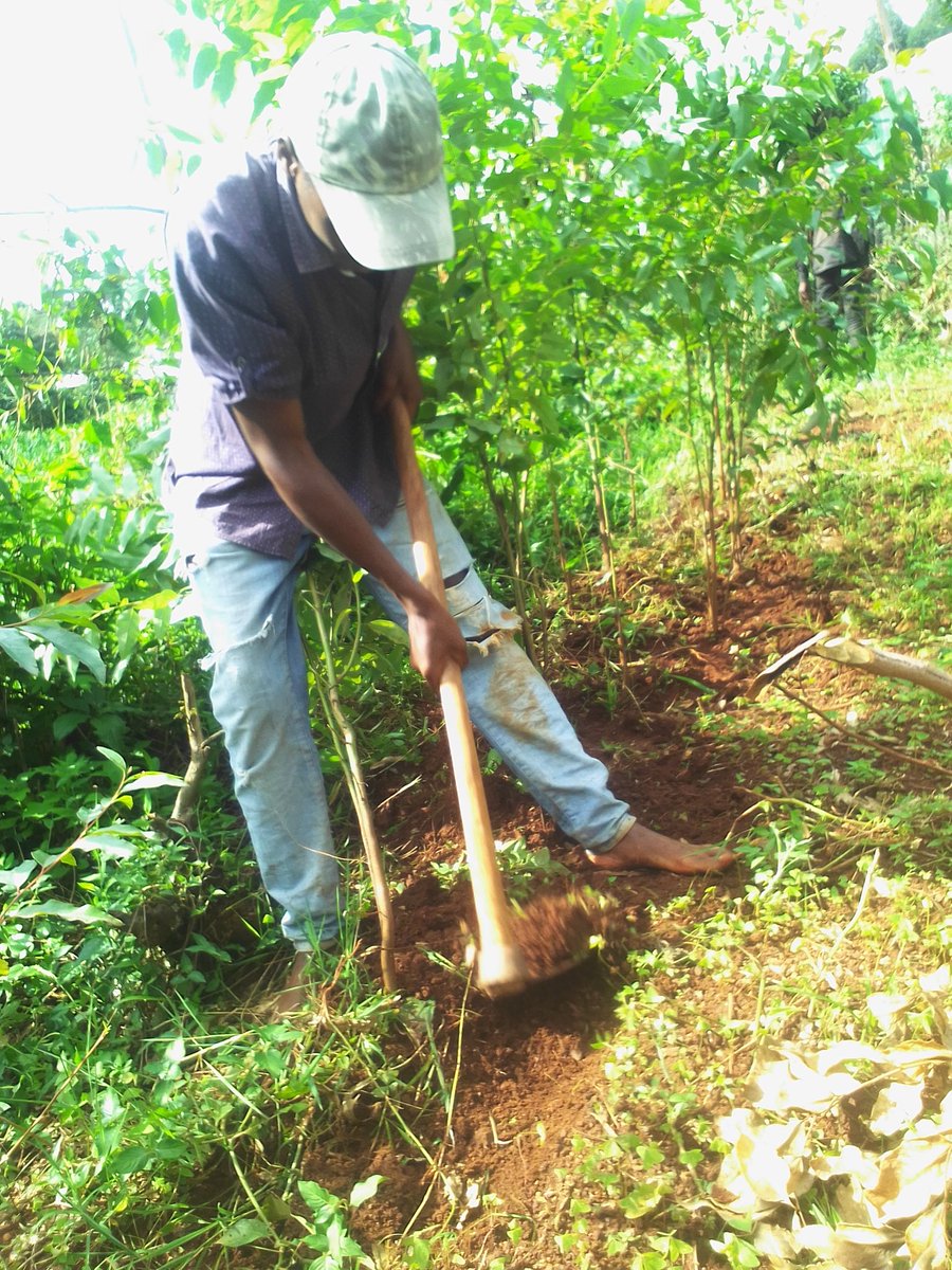 ZuriBrown01's tweet photo. Day Well Spent 🌳 #HealthAndClimateChange https://t.co/RrL4F6PCMa