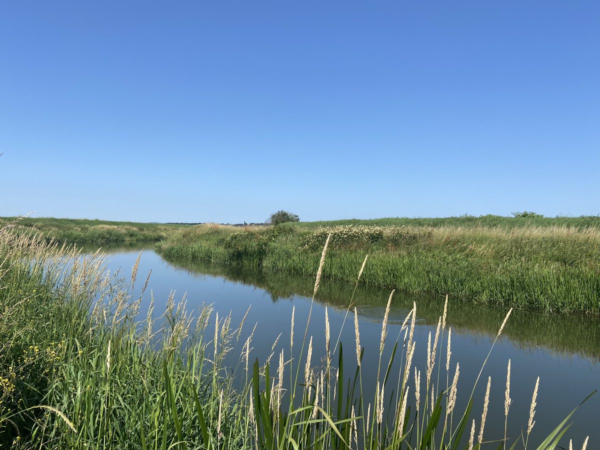 After a busy week, spending time on the river is a great way to unwind.

The River Rother at Northiam is just a 15 minute drive away from Rye and  Kayaks, rowing boats, paddle boards and canoes are available to hire here from <a href="/bodiamboating/">Vanessa</a> 

#river #ryeandbeyond #holidaycottages