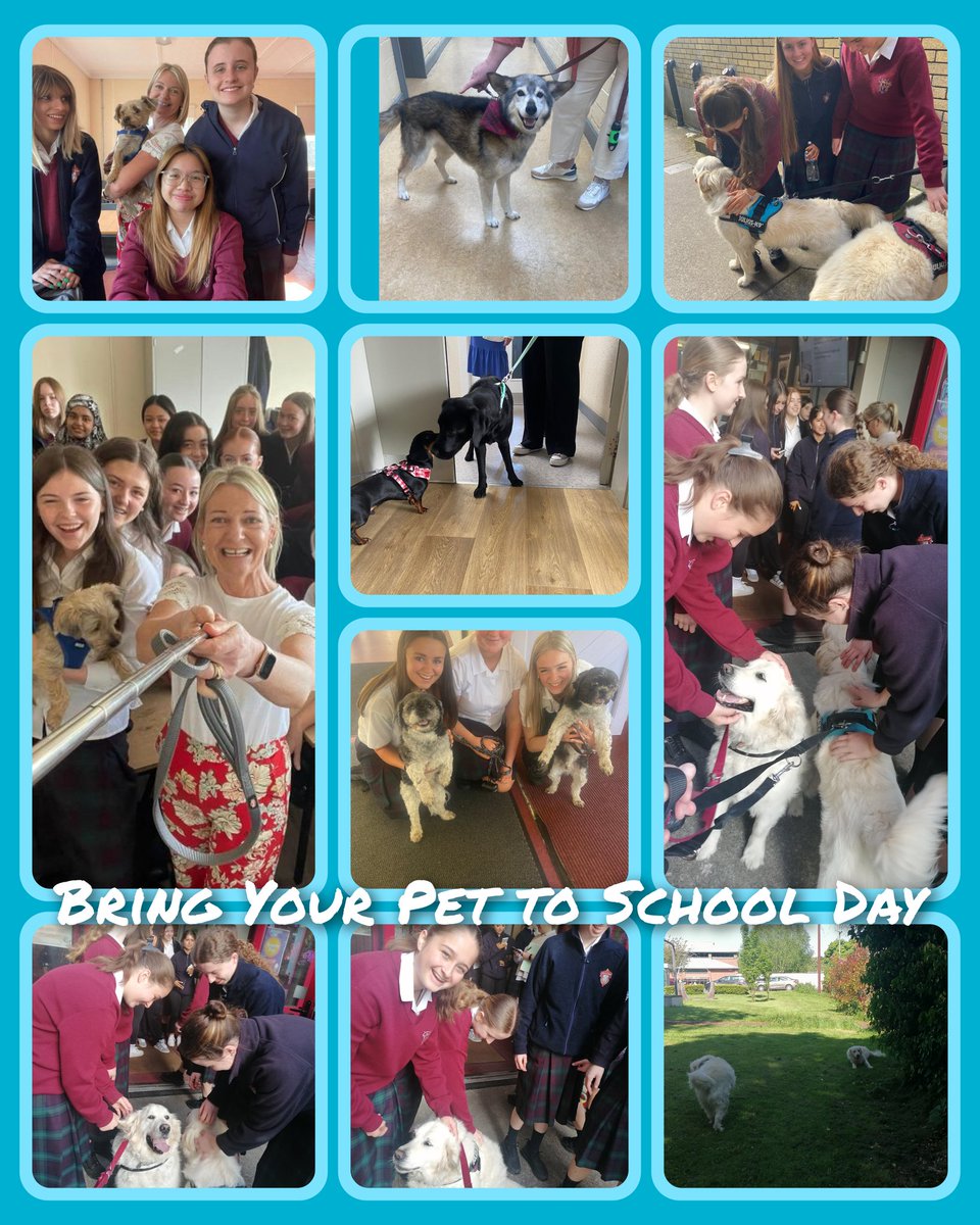 Another fun filled Day as part of Wellbeing Week when we welcomed our 4 legged friends to @smcn Thank you to our Lighthouse Leaders for organising a brilliant week. #bringyourdogtoschool @CeistTrust