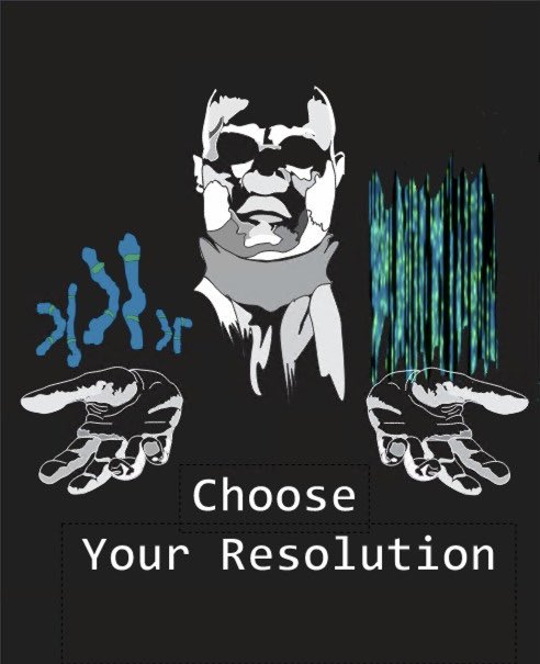 SchueleLab's tweet image. New Schuele lab Tee design. Any idea what we do?