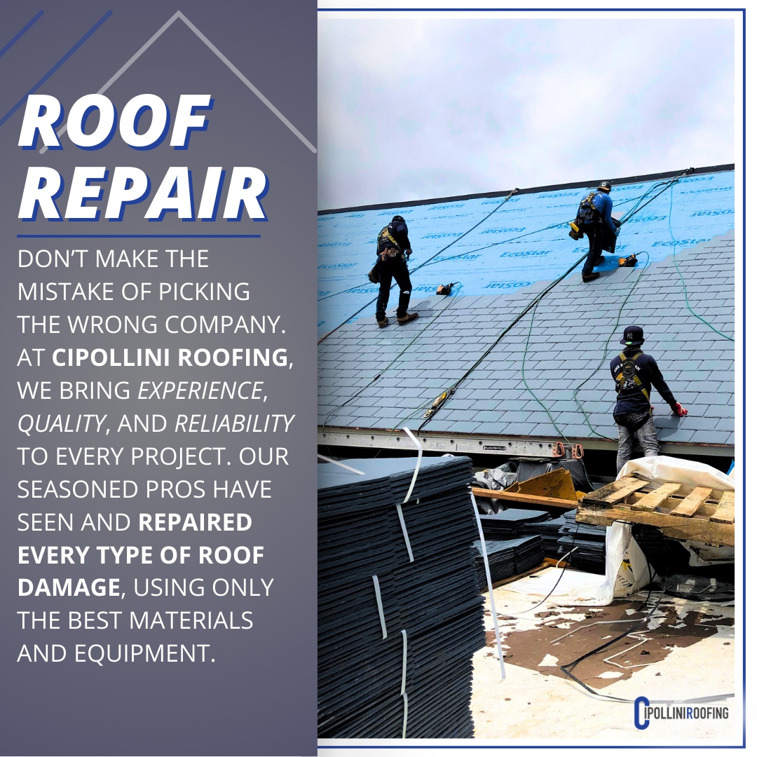 Need a commercial roof repair? Go with the pros at Cipollini Roofing. 🛠️ With years of experience, top materials, and a wide range of services, we ensure your roof gets the quality care it deserves. From repair to installation, we've got you covered. #commercialroofing