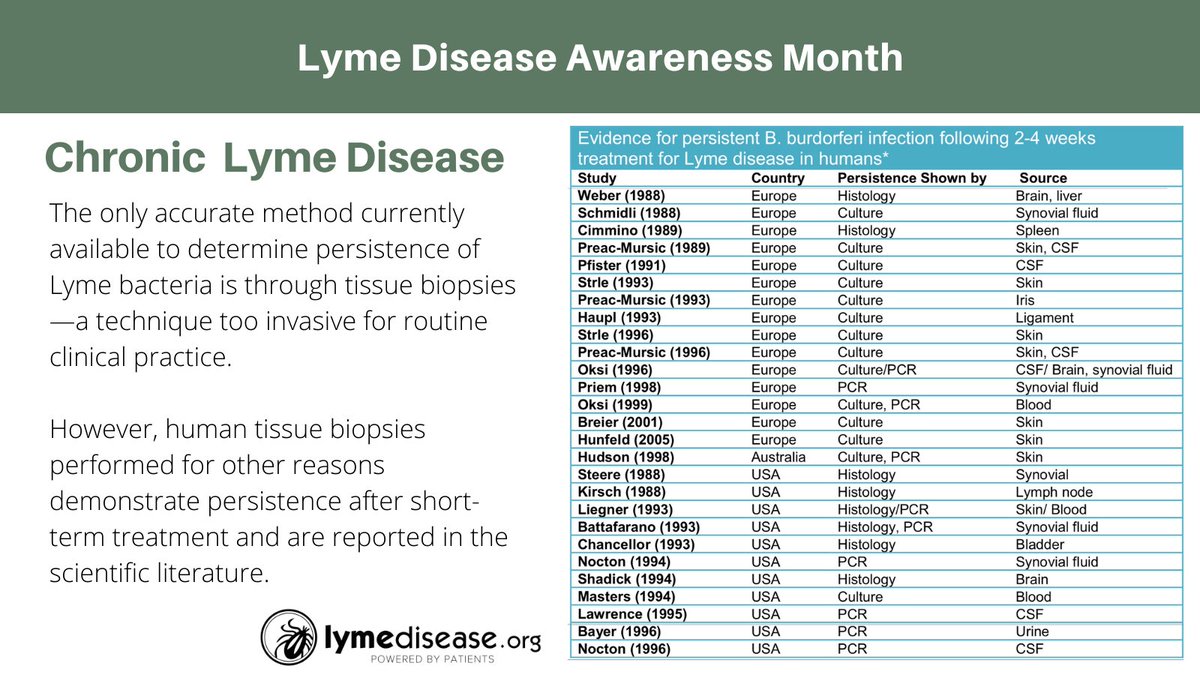 'It’s time to lay to bed the notion that Borrelia burgdorferi persistence has not been demonstrated in humans. It has–as evidenced by these 27 case studies,' says Lorraine Johnson, JD, MBA @lymepolicywonk Read More: lymedisease.org/lyme-basics/re… #LymeDiseaseAwarenessMonth