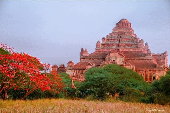 JunctionAsia's tweet photo. In Bagan during the month of May

Credit Photos https://t.co/p7gyVacpmE