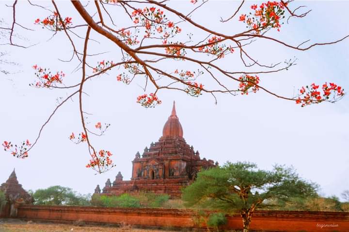 JunctionAsia's tweet photo. In Bagan during the month of May

Credit Photos https://t.co/p7gyVacpmE