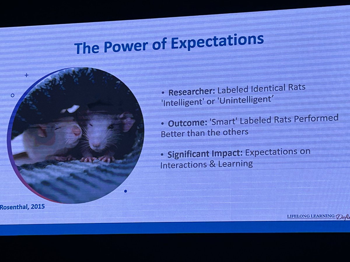 Stephanie Elgin tweet media