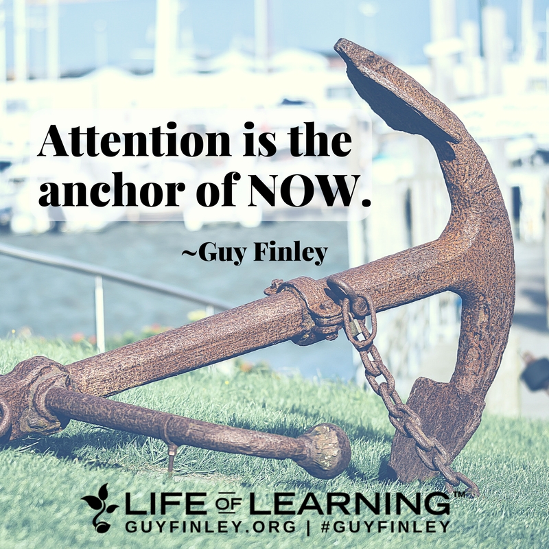 'Attention is the anchor of NOW.' ~ Guy Finley #fridaythoughts #mindfulness #ATTENTION #lettinggo #guyfinley