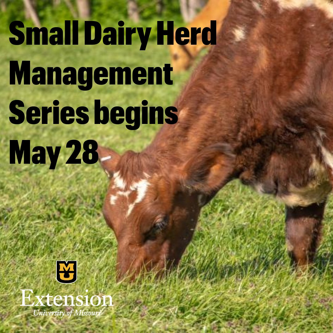 Are you considering starting a small dairy herd, but unsure of where to begin? Look no further! Join the Small Dairy Herd Management Webinar starting on May 28 at noon to learn about various aspects of the dairy industry. brnw.ch/21wJEL5