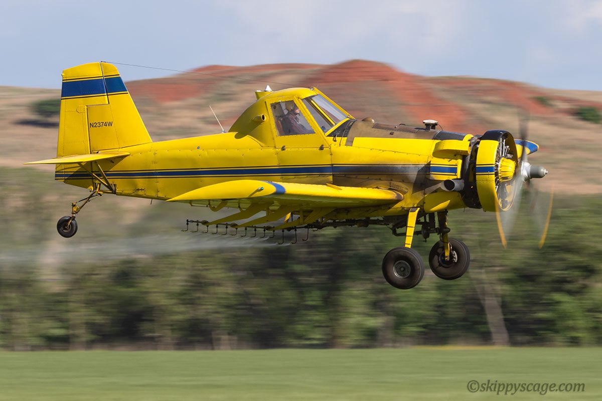 Air Tractor AT-301 N2374W | Foss, OK | April 2024 | it's unusual to see a radial working the fields these days

#generalaviation #avgeek #ag #agriculture #agriculturalaviation