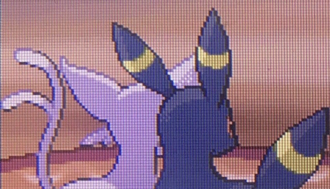 I want what they have