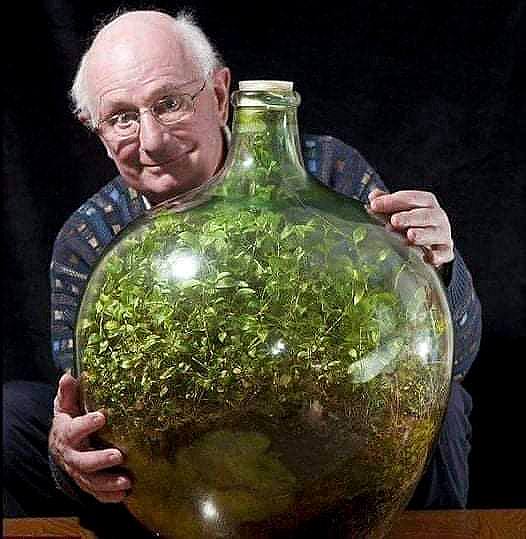 📲 Das unabhängige Ökosystem

1960 pflanzte David Latimer einen kleinen Garten in eine große Glasflasche und versiegelte sie. Er öffnete die Flasche 12 Jahre später im Jahr 1972, um etwas Wasser hinzuzufügen und versiegelte sie für immer. 

Das unabhängige Ökosystem gedeiht seit