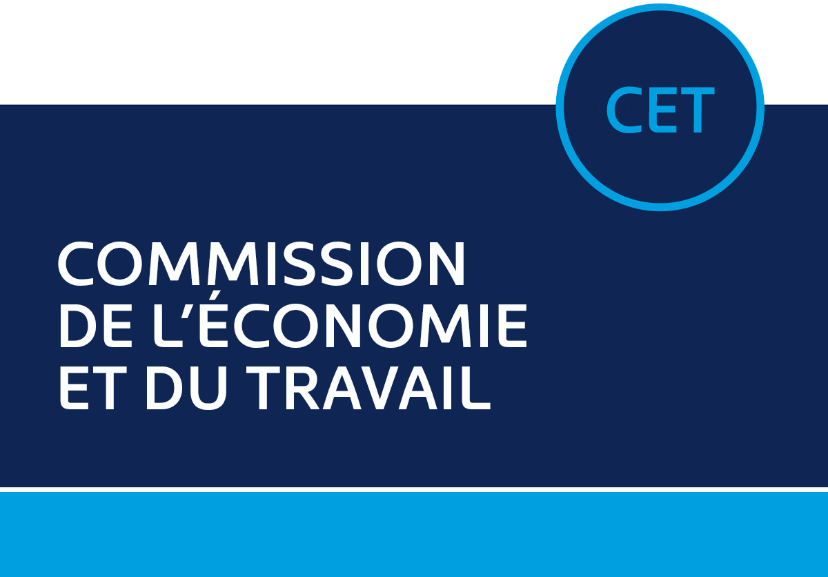 L’étude détaillée du #PL51 (industrie de la construction) s’est terminée hier à la Commission de l’économie et du travail. Écoutez les travaux réalisés ici : bit.ly/3vkjkAX #AssNat #polqc #TravauxParl