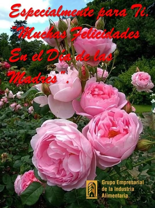 @minalcuba @PresidenciaCuba @MMarreroCruz @RamnMonte1 @JorgeLuisTapiaF @AlbertoLopezcu @midalys_blanco @OrlandoBorrero7 @JFAR58814797 @AsambleaCuba @FMC_Cuba Felicitaciones a todas las madres!!! #diadelasmadres2024