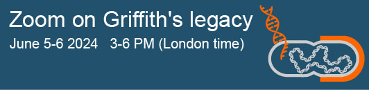 Dear bacterial transformation community,
This is a reminder to register for the upcoming Griffith's Legacy meeting, which will take place as a Zoom webinar on 5-6th of June. Use this link to register: forms.gle/2qstbhBJc369Ud…

Please also spread the word🙂