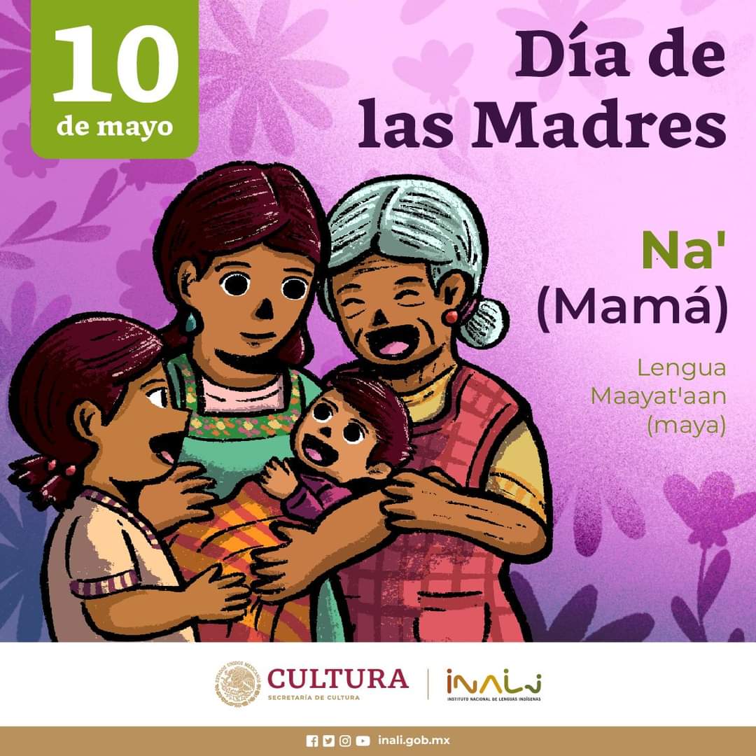 ¡Difúndela! 📢 10 de mayo, #DíaDeLasMadres #MéxicoPluricultural 🇲🇽 Traductor: Ramón Chan Briceño. Lengua: MaayatꞋaan (maya).