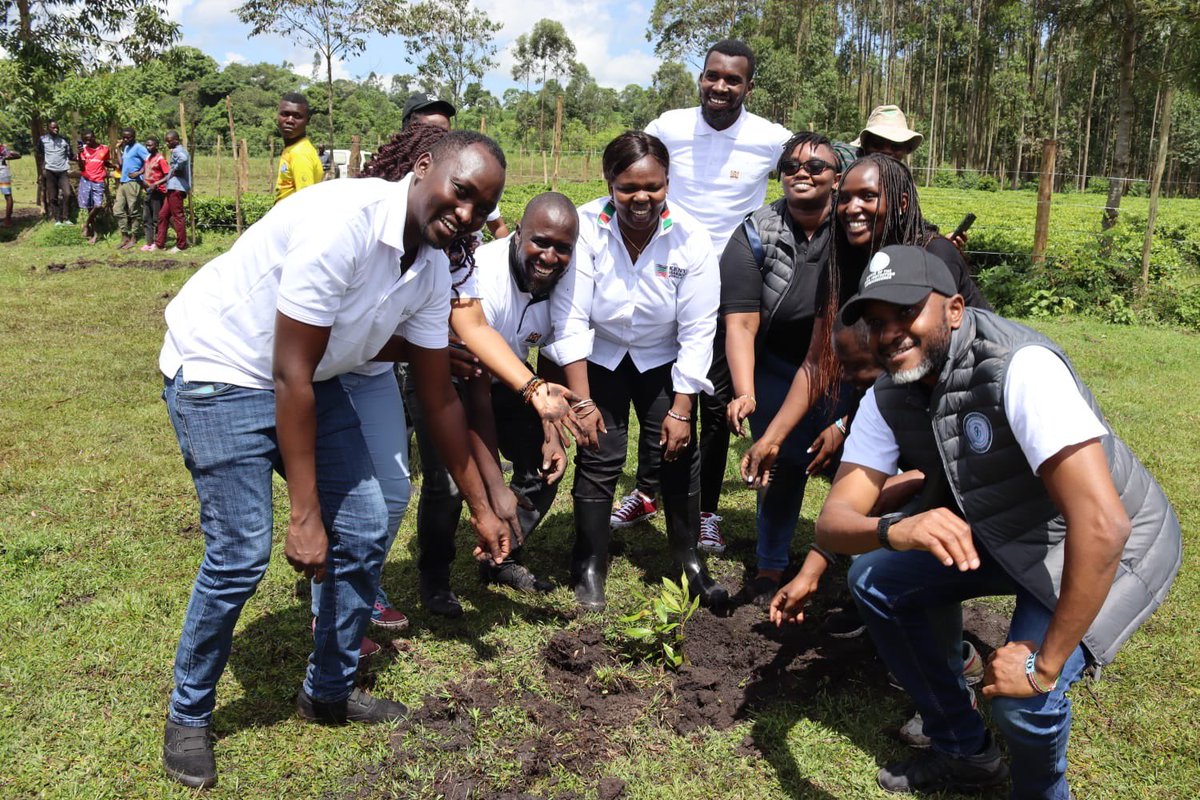 OFFICE OF THE DATA PROTECTION COMMISSIONER tweet media