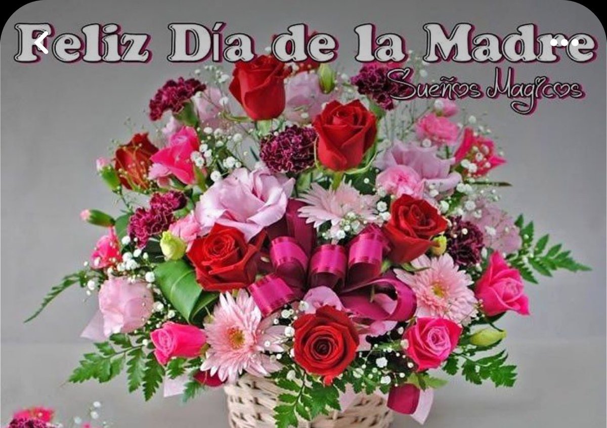 OscarAthie's tweet photo. Felicidades mujeres, a todas y a cada una de ustedes, que la vida les obsequio el más hermoso de los dones humanos, que es el de ser mamá.

Que tengan un día maravilloso. Les reconozco y les valoro la grandiosidad de su ser. https://t.co/BVXpBMGo6E