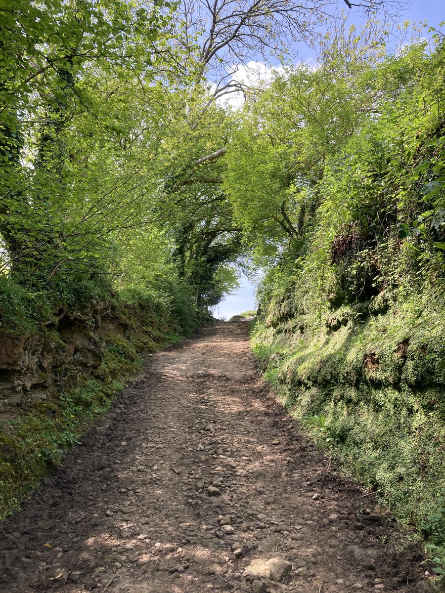 Finally the lane up to the top of the hillfort. It had really weird sides.