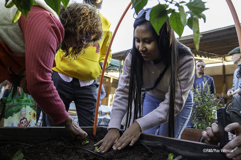At the #YLPfoodsystems workshop, participants explored urban gardens in Peñaflor, Chile, witnessing how they nourish bodies, minds, and community ties. A beautiful example of #FoodSystems transformation in action! 🌿🥦