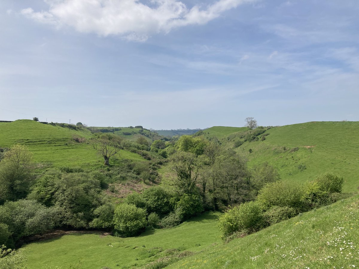 View of the southern valley from the top of Burcombe Hillfort. Wonderful view.