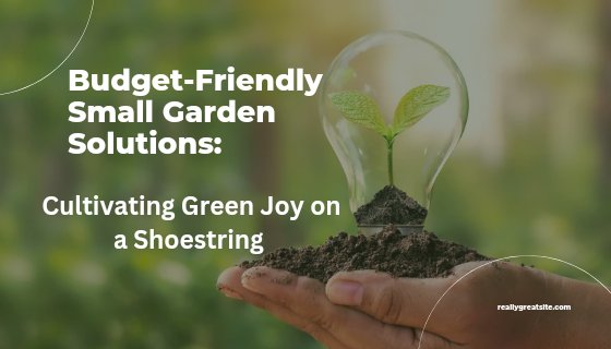 Eco-Friendly Home Improvement Projects!
#GardenersWorld #gardening #GardeningTwitter #indoorgarden #indorgrernery #roofgarden
mathcaption.online/eco-friendly-h…