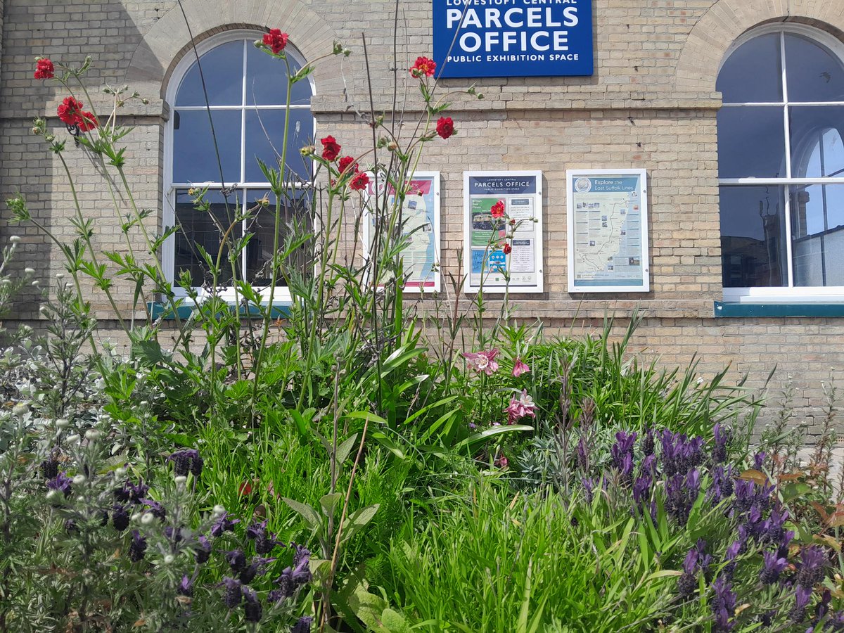 A fabulous Friday at lovely #Lowestoft. The @greateranglia station is the most easterly in all the UK. The fantastic #flowers are tended to by the wonderful team of volunteer station adopters.