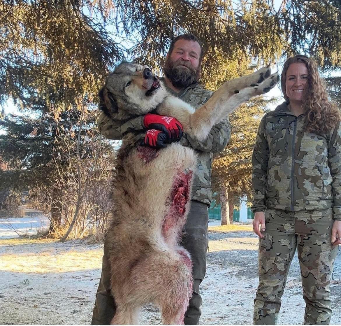 Tana & Adam Grenda runs Stuck N The Rut. Tana couldn't keep the delight out of her voice when this wolf went down. 'You shot a freakin wolf.' Must be a real turn on for her. 🤬RT #BanTrophyHunting @SARA2001NOOR @Angelux1111 @Gail7175 @DidiFrench @Lin11W @PeterEgan6