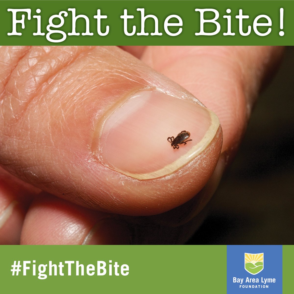 DYK: #Lyme is the fastest-growing vector-borne illness in the U.S? We are raising awareness that there is no safe amount of time for tick attachment! Stay informed & stay vigilant, let's #FightTheBite together! Check out the LDAM website for more info: LymeAwareness.org