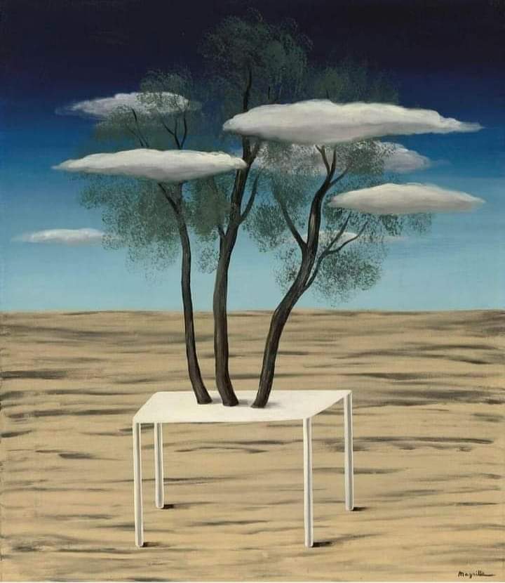 Di qualunque fiore Continuamente io sospiro Perché tutte le cose sono come le foglie e le nuvole. ✒️ Dylan Thomas #ComeNuvoleNellAria #VentagliDiParole @VentagliP ⚘️Magritte