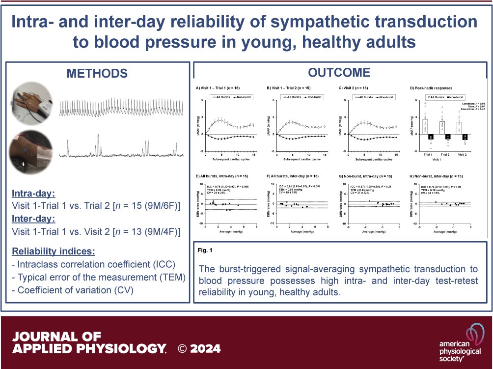 Blood pressure responses to muscle sympathetic nerve activity (i.e., sympathetic transduction) have very good-to-excellent intra/interday reliability in young adults. pubmed.ncbi.nlm.nih.gov/38385178 Neat study by @AndrLTeixeira3 @massnardone @Igor_Alex_1981 @Millar_Lab @lauro_vianna