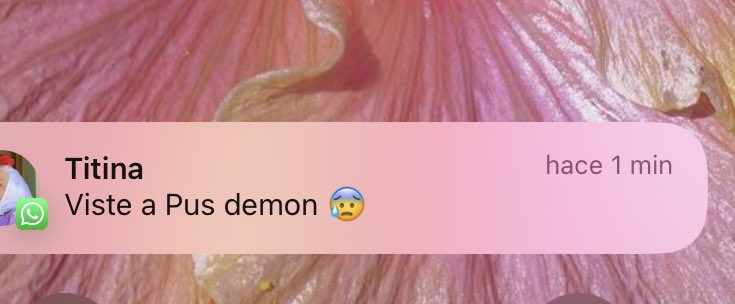*estoy en belgica*
mi abuela: