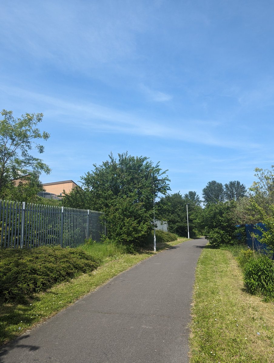 Nice to finally find my first singing common whitethroat of the year in the scrub behind Newham Hospital's Gateway Centre, parallel to the A13. Sound perfect in the spring sunshine #londonbirds