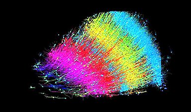Human brain map contains never-before-seen details of structure nanoappsmedical.com/human-brain-ma… cc. @tantriclens @HeinzVHoenen @cellrepair777