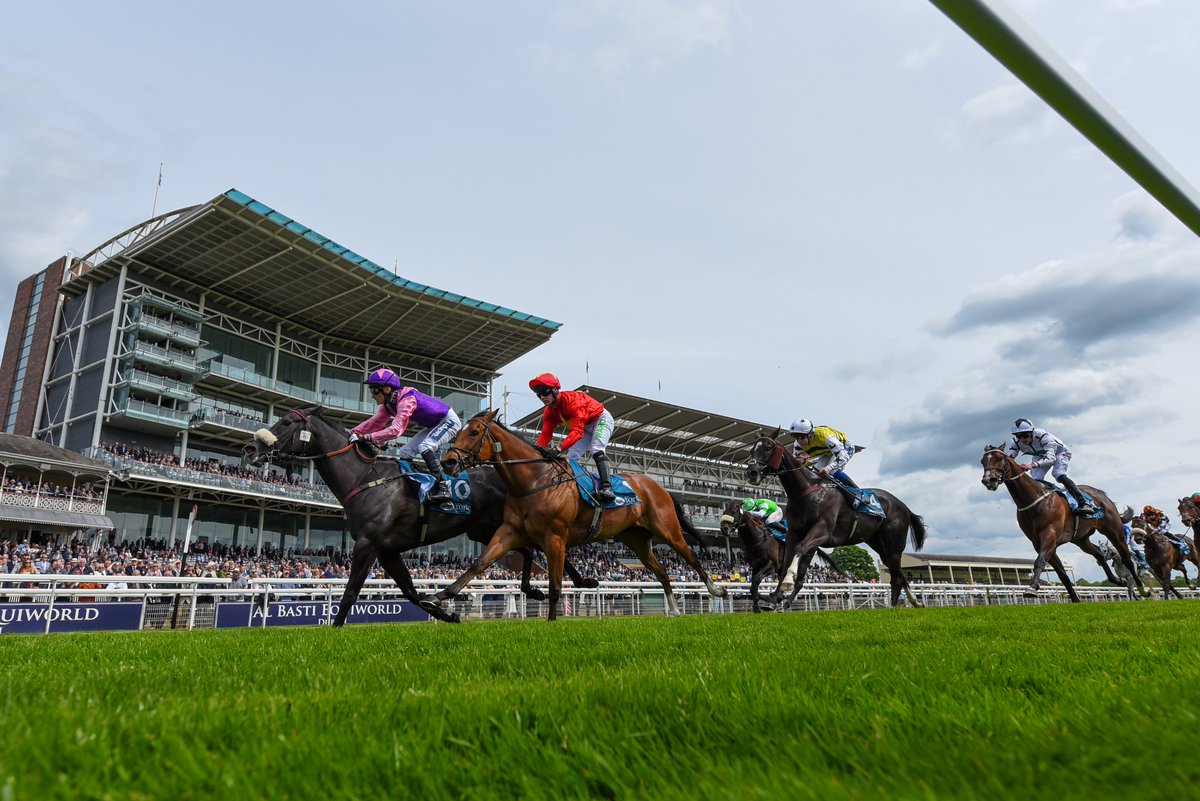 Did you know? The £150,000 Group 2 1895 Duke of York Clipper Stakes is the; - 1st of 29 races across our season to offer black type - 1st of 41 races across our season to offer at least a six-figure purse Dante Festival | Wed 15 - Fri 17 May @YorkClerk | @YorkshireRacing