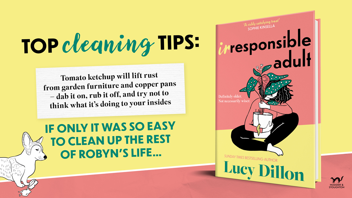 There's officially less than TWO weeks until the warm, funny and positively *sparkling* new novel from @lucy_dillon lands on bookshelves! Pre-order your copy of #IrresponsibleAdult now: lnk.to/IrresponsibleA… 🧼💛🧺💖🐶💚🧹