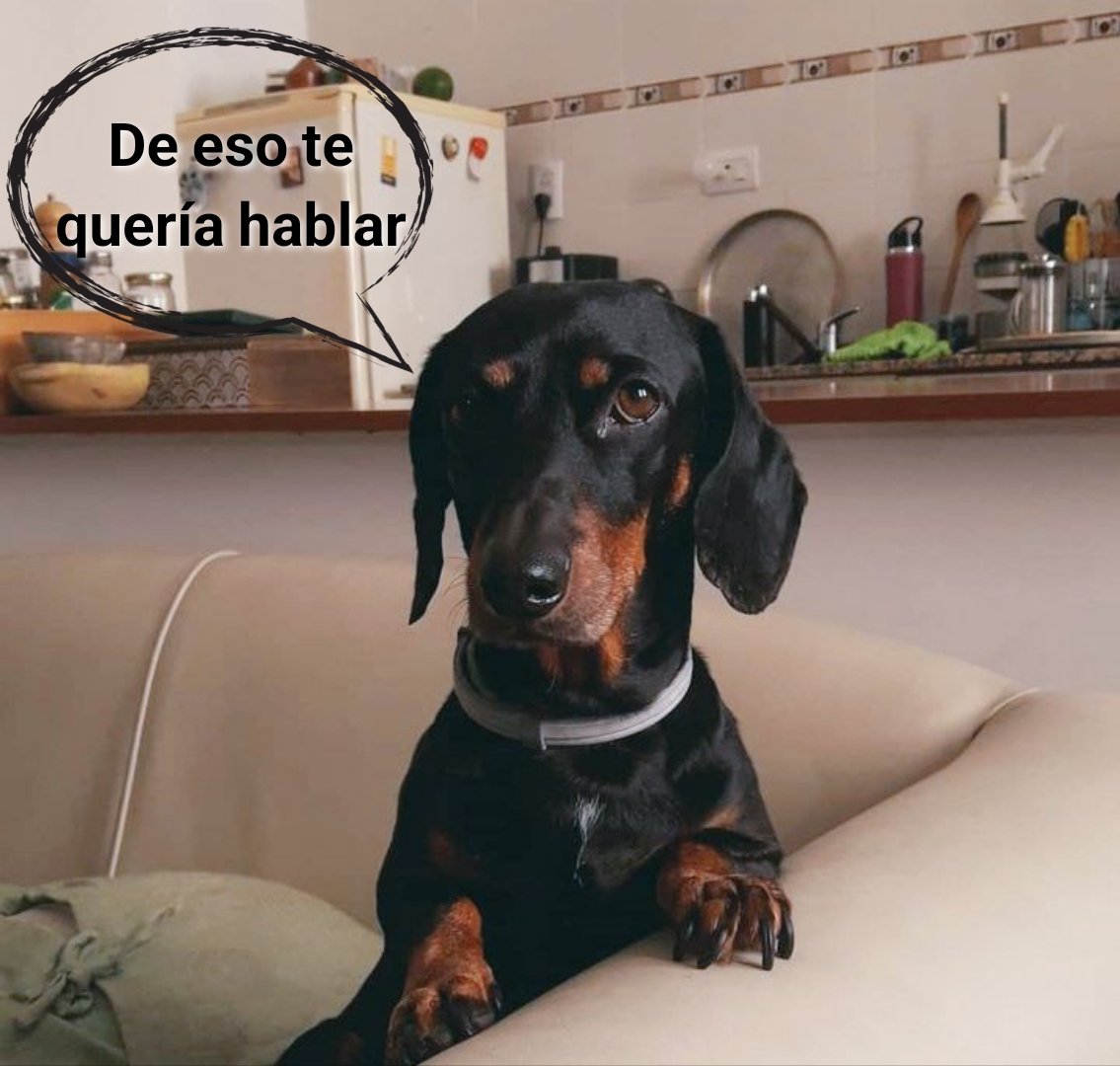 miltonroses's tweet photo. Yo: Bueno, por fin este mes voy a poder descargar un poco la tarjeta.

Rogelio con dermatitis: https://t.co/pvpSNE4LCc