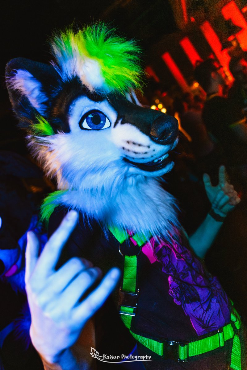 I gonna enjoy the birthday party of my lovely tiger @ToraThings and #ESC2024 this weekend with my friends. Happy #FursuitFriday and a wonderful weekend full of party! #furry #fursuit 📸: @KaisunDerg ✂️: @nukecreations
