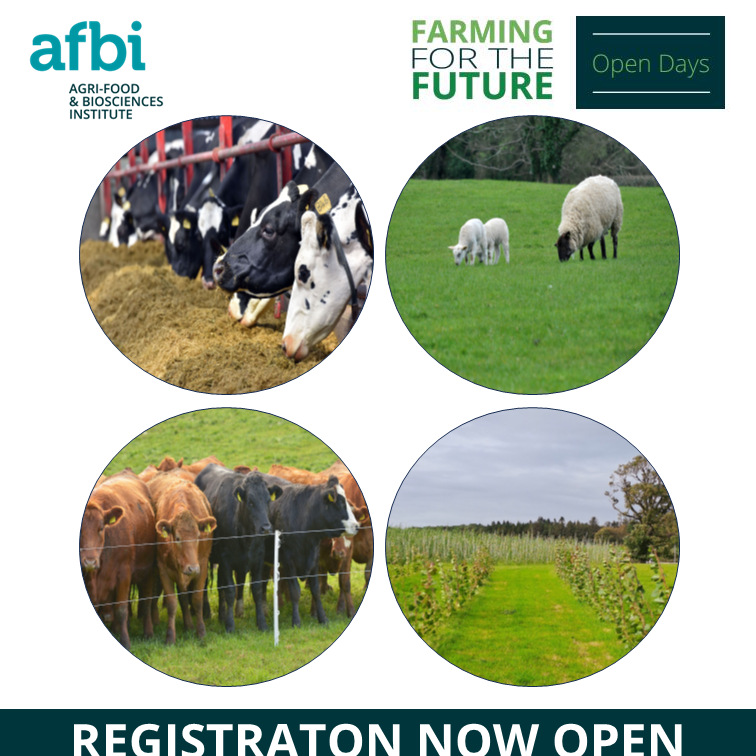 AFBI (@afbi_ni) on Twitter photo AFBI Hillsborough <a href="/afbi_hills/">AFBI Hillsborough</a> will showcase their latest research to the farming community with two Open Days being held on 18th (Dairy Day) and 19th (Beef and Sheep Day) June. Registration is essential and is NOW OPEN!
📅bit.ly/3ws1goW
#AFBIScience #AFBIResearch AFBI Hillsborough <a href="/afbi_hills/">AFBI Hillsborough</a> will showcase their latest research to the farming community with two Open Days being held on 18th (Dairy Day) and 19th (Beef and Sheep Day) June. Registration is essential and is NOW OPEN!
📅bit.ly/3ws1goW
#AFBIScience #AFBIResearch