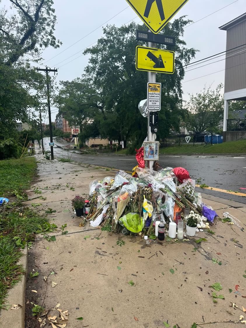 Destruction across Tallahassee but Ellie’s memorial remains untouched 🙏