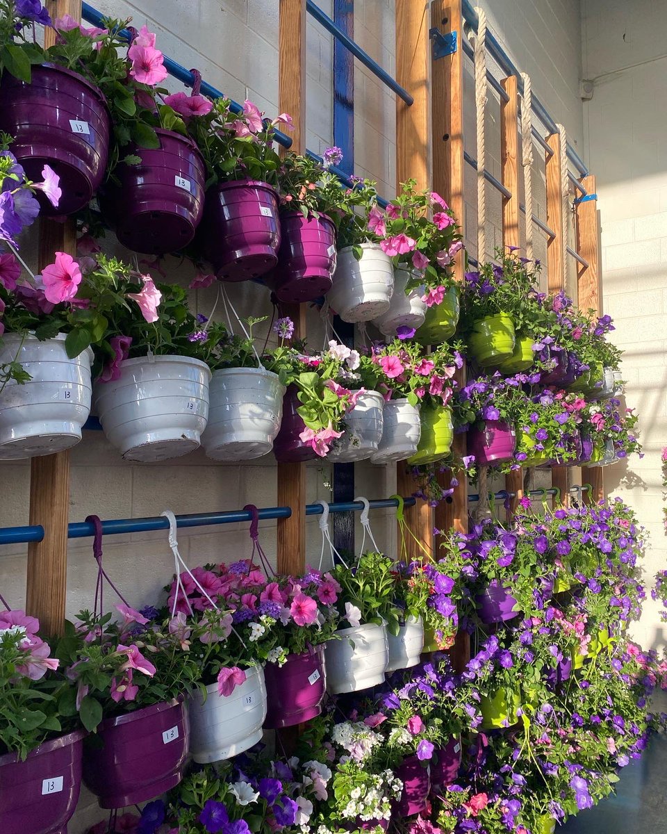 CCCPA2's tweet image. 