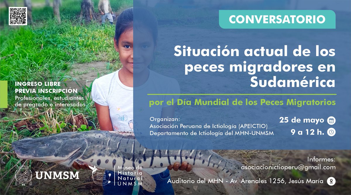 🐠🐡🐟El MHN-UNMSM y APEICTIO organizan el conversatorio 'Situación actual de los peces migradores en Sudamérica' por el Día Mundial de los Peces Migratorios🦈🐠🪸 🗓25 de mayo. ⏰9am. a 12m. 📌Auditorio del Museo 📝bit.ly/44B22fS 📬asociacionictioperu@gmail.com